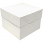 PK de 10 Cajas Tarta Blanca 25.4 X 25.4 X 15.2 Cm Altura