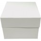 PK de 10 Cajas Tarta Blanca 25.4 X 25.4 X 15.2 Cm Altura